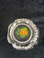 Rare Caithness Glamis Rose