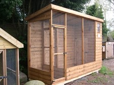 All weather bird aviary with - bird,