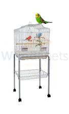 LIBERTA SIAM BUDGIE CANARY