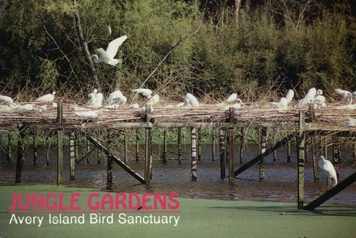 Bird sanctuary avery island - avery,