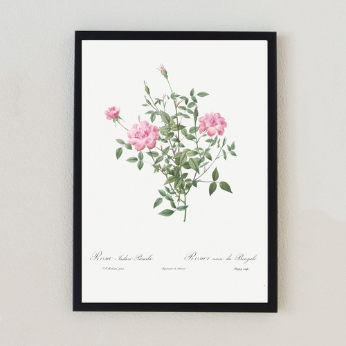 Vintage botanical flower - vintage,
