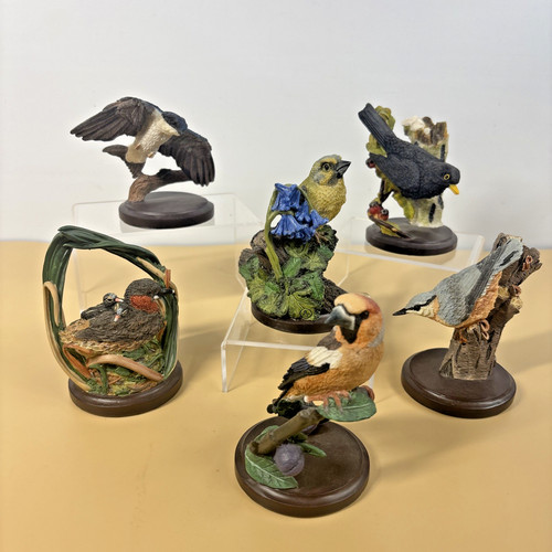 Country bird collection - bird, x