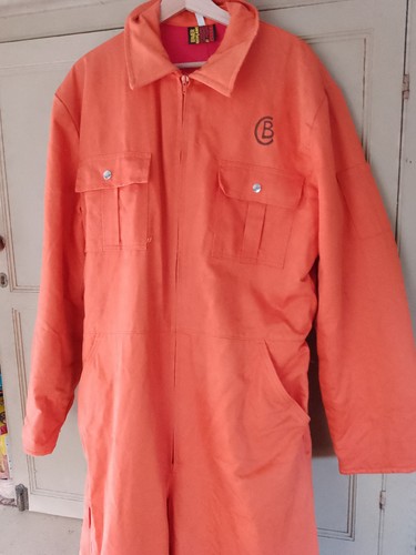Vintage beaver orion - vintage, orange