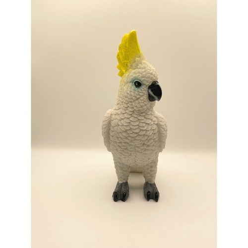 Sulphur crested cockatoo - sulphur,