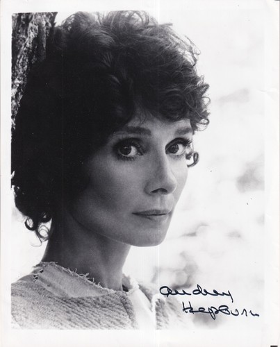 Audrey hepburn large - audrey,