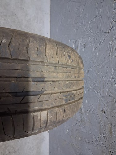 Evergreen 195 7mm - evergreen,
