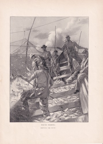 Commercial fishermen fishing - fishermen,