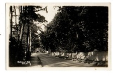 Surrey. Cobham Road, Esher