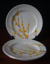 Set of 3 Crown Staffordshire