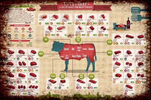 Butchers cuts beef - of,