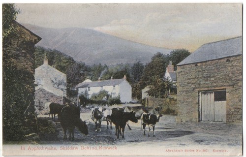 761 printed postcard - 761/printed, of