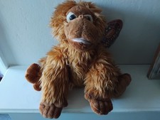 Beverly hills teddy bear - beverly,