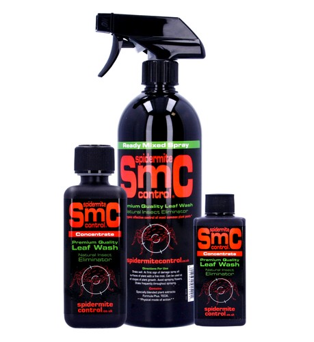 Spider mite killer - spider,