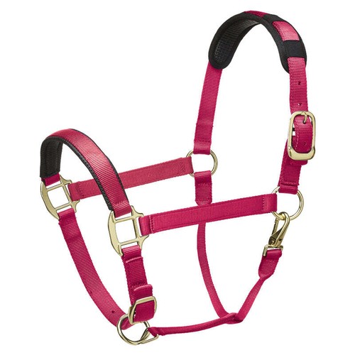 Legacy equestrian adjustable - legacy,