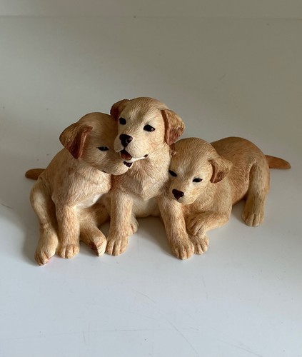 Border fine arts labrador dogs - fine,