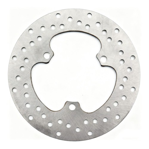 Rear brake disc - rear, for