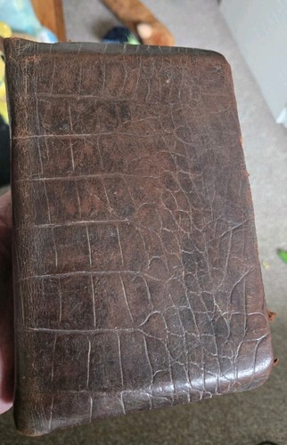Crocodile alliator skin - or,
