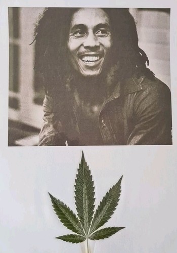 Bob marley pictures - marley,