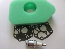 MTD Lawnflite Mower Tune up Kit, Diaphragm & Gasket, Air Filter & NGK Spark Plug