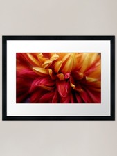 Chrysanthemum Sway Framed Art