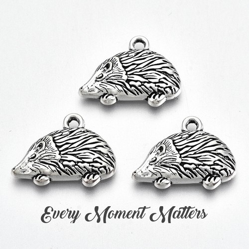 Tibetan silver hedgehog - tibetan,
