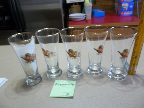 Ring necked pheasants - (5),