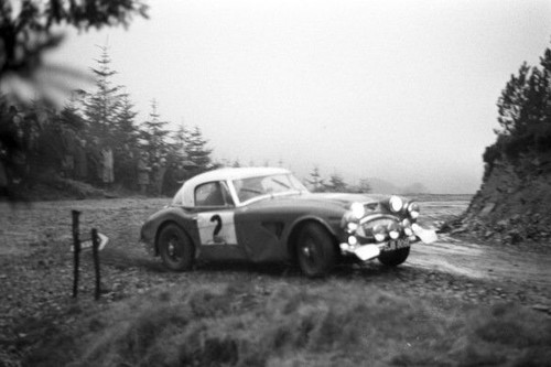 Timo makinen paul easter - &,