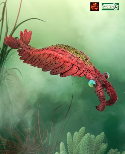 Anomalocaris prehistoric - anomalocaris,