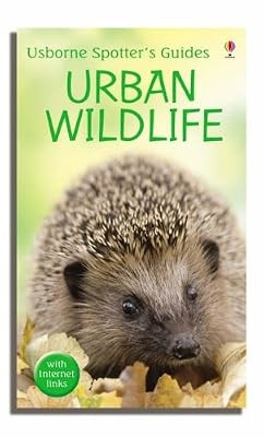 Urban wildlife usborne - urban, (usborne