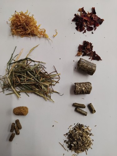 Tortoise food post samples - food,