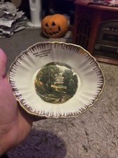 plate bicentenary of the