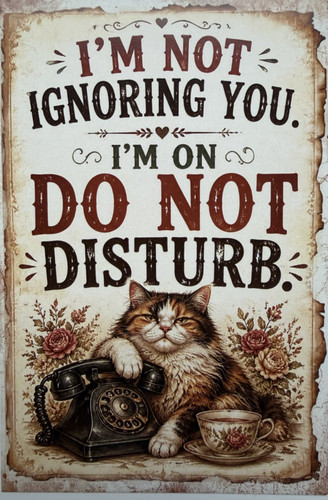Cat attitude postcard - postcard,