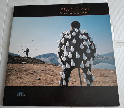Pink floyd delicate sound - pink, of