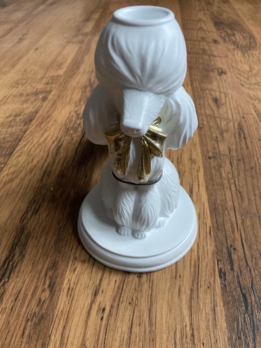 Next home white - white, poodle