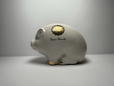 Furman University Ceramic