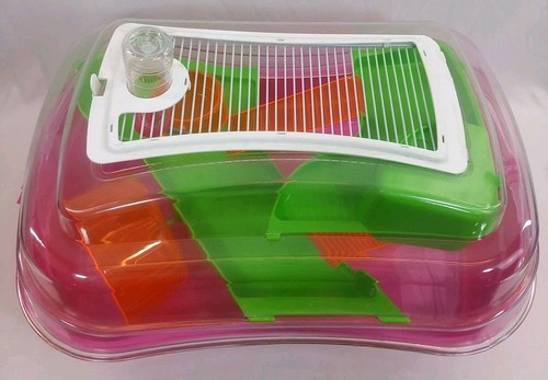 Rosewood abode dwarf hamster - rosewood,