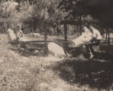 Wadhams New York Park Sitting