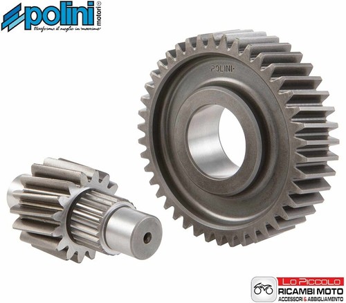 Secondary gears z16 polini - secondary, z16/42