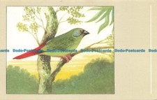 R629491 Tricoloured Parrot Finch. N. V. P. Sluis Birdfood. No. 40