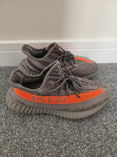 Yeezy boost 350 - yeezy, beluga