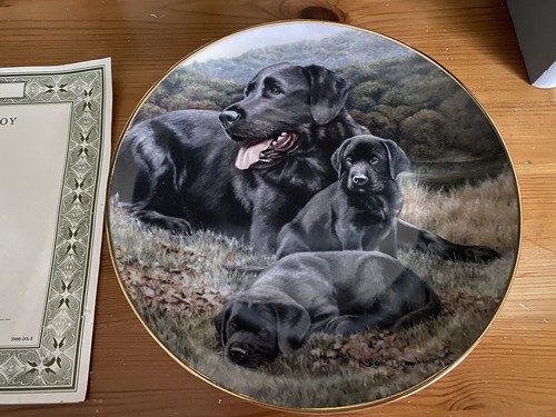 Vintage franklin mint black - vintage,