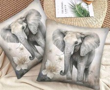 Beautiful Grey Elephants