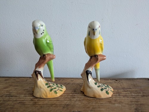 Rare green yellow - yellow, budgie