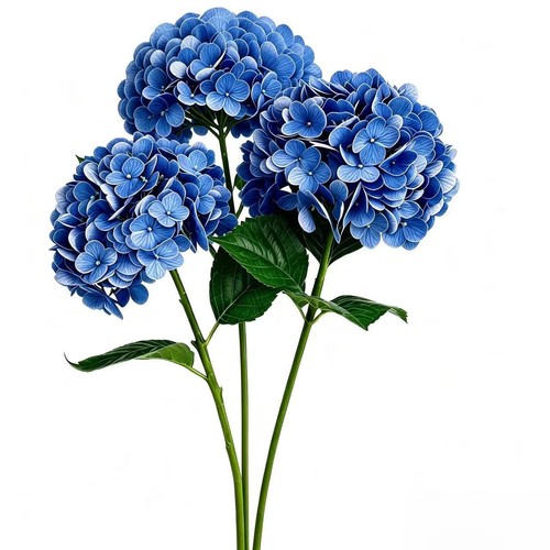 Artificial hydrangea flowers - flowers, 3