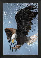 falcon 2 Framed Wall Art
