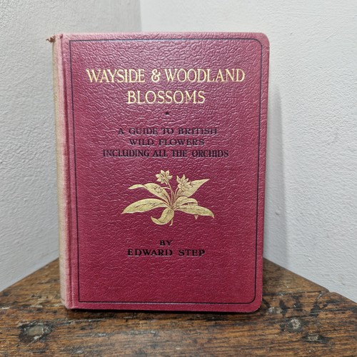 Wayside woodland blossoms - wayside, &