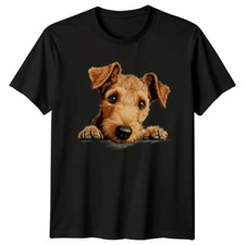 Irish Terrier Dog Breed