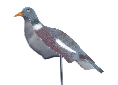 Pigeon shell decoys - pigeon,