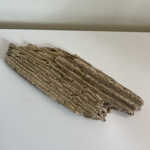 Flat unique driftwood - 1, piece