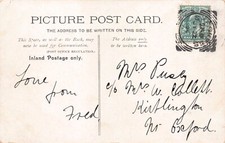 FAMILY HISTORY - GENEALOGY